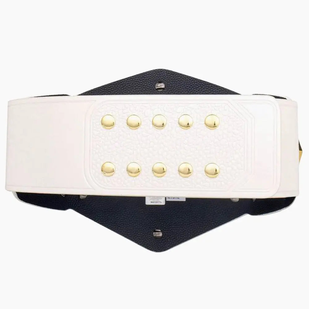 NXT Women's Tag Team Championship Replica Title Wrestling Title Belts