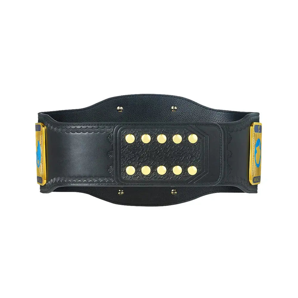 WWF Intercontinental Belt World Wrestling Federation Championship Belt Wrestling Title Belts