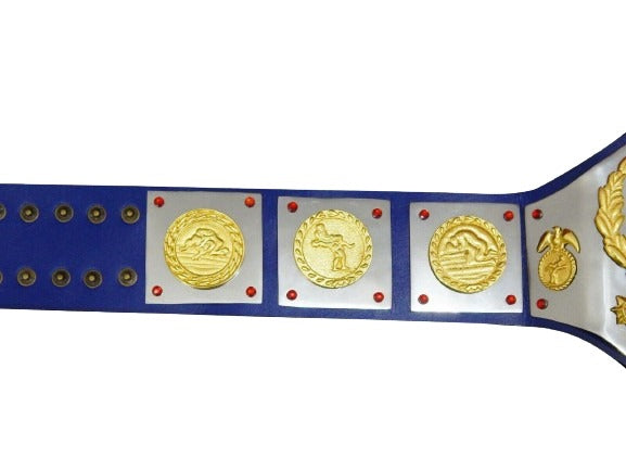 WWWF Bruno Sammartino Heavyweight Wrestling Champion Belt Bob Backlund Champions Wrestling Title Belts