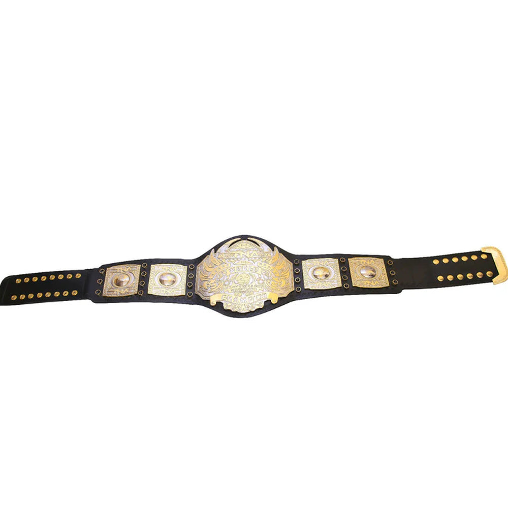 TNA World Heavyweight Championship belt with gold and silver plates on black leather strap
