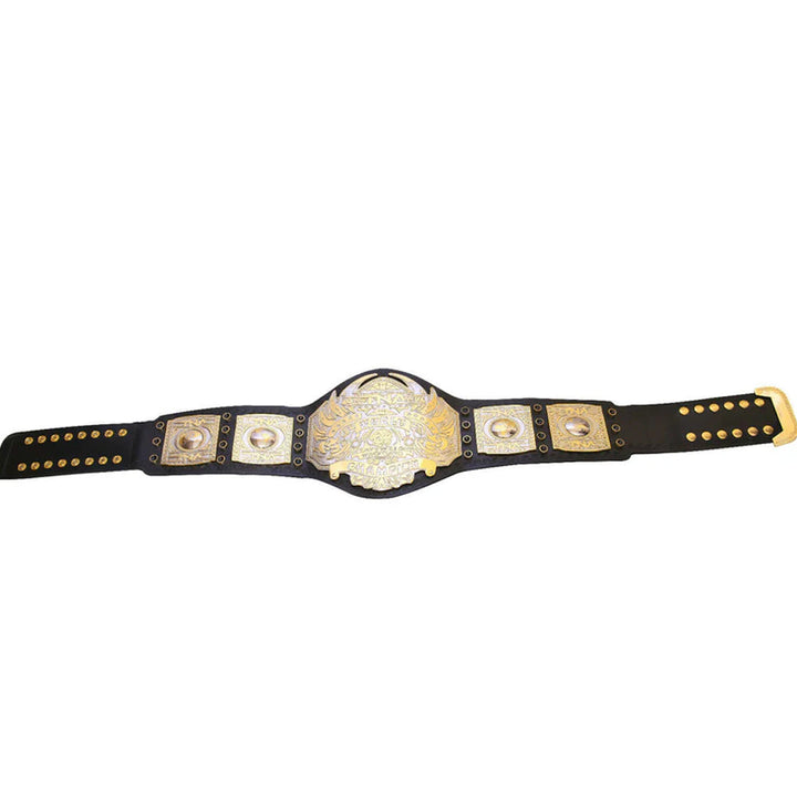 TNA World Heavyweight Championship belt with gold and silver plates on black leather strap
